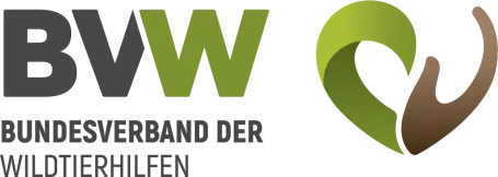 BVW Logo